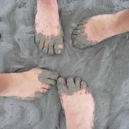 2011-05-01-rose-des-sables