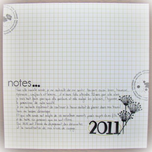 notes-2011.jpg