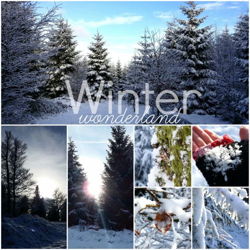 Winter wonderland '15
