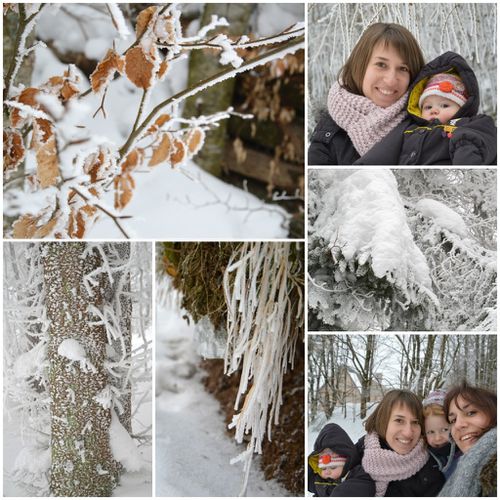Mosaïque sortie neige '13