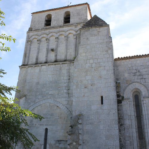 Mornac.St-Sulpice.Oiseaux 093