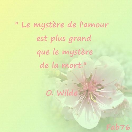 mystere-amour-wilde.jpg
