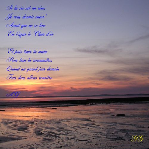 reve