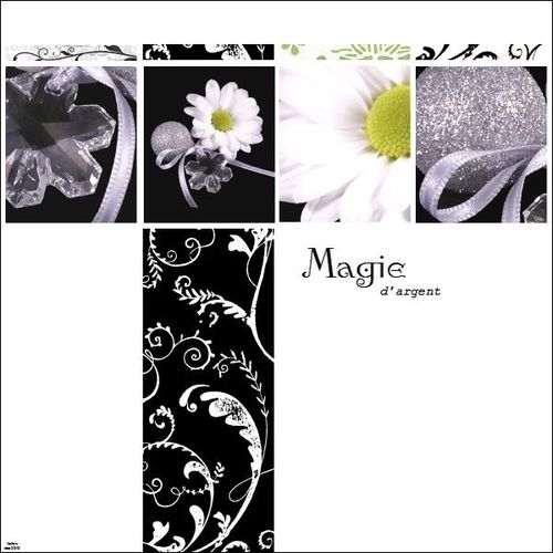 magie d'argent