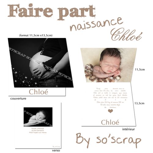 faire part naissance nathalie 2