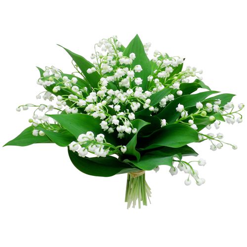 bouquet-rond-muguet-100-blanc_23441.jpg