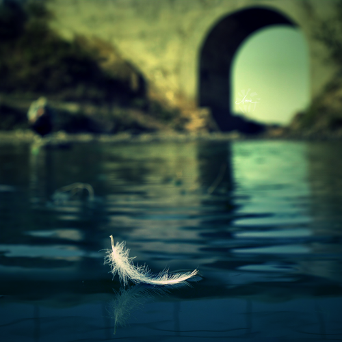 Lone_sailor_by_DianaCretu.png