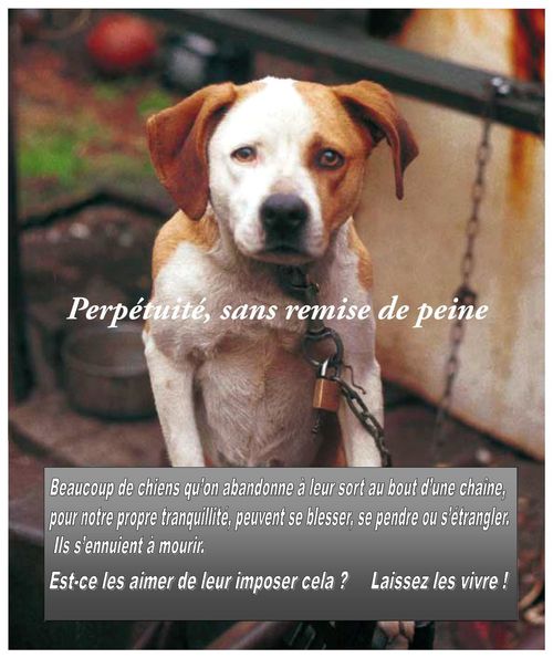 affiche-w-o-footer.jpg