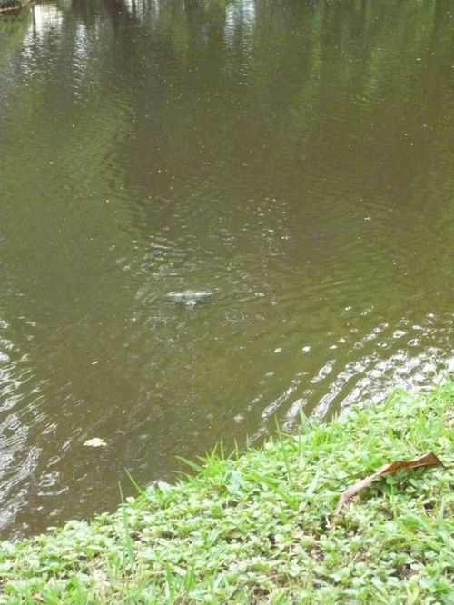 rot fai park bangkok