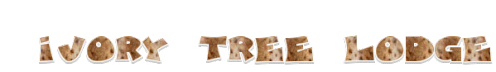 1297545138 af495842 1297545138