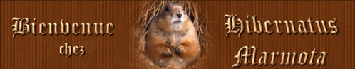 Capture-marmotte-annie.PNG