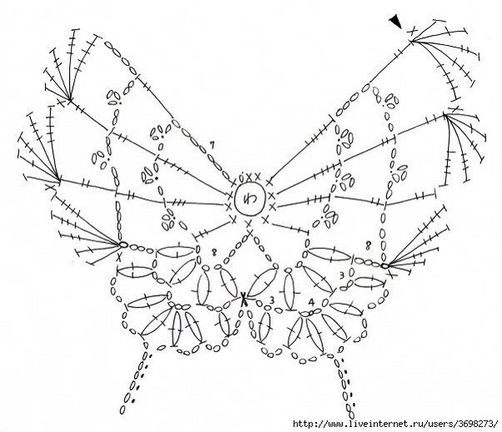 papillon.