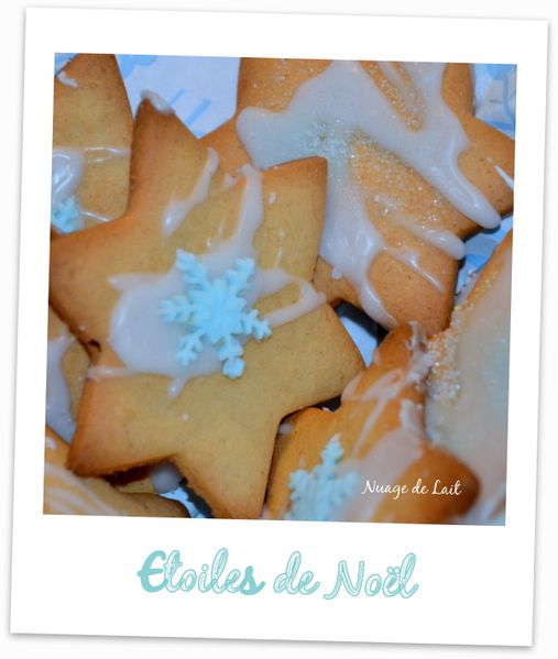 etoile-de-Noel--biscuits-cardamome-gingembre-copie-1.JPG