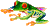 grenouille multicolore