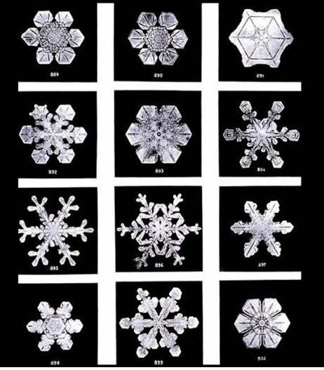 Capture-flocons.PNG