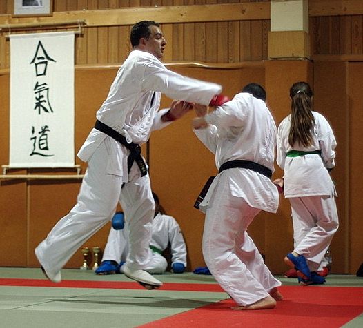 Yves Mailliere Karate 2