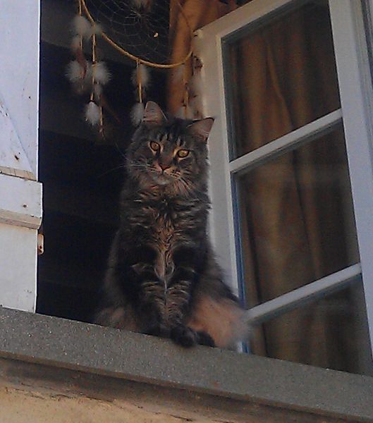 IMAG0157.jpg
