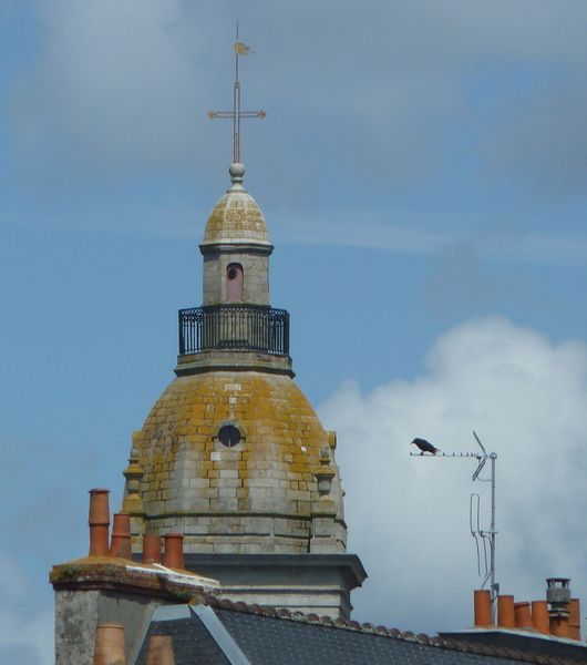P1140253
