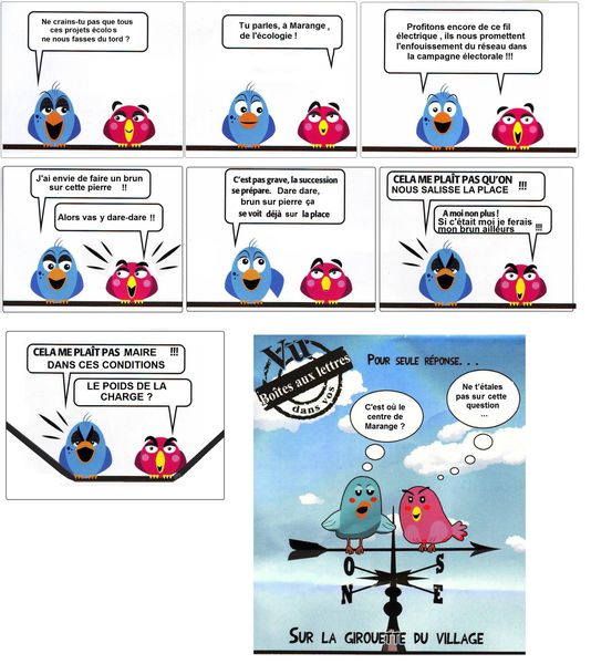 les oiseaux de Marange