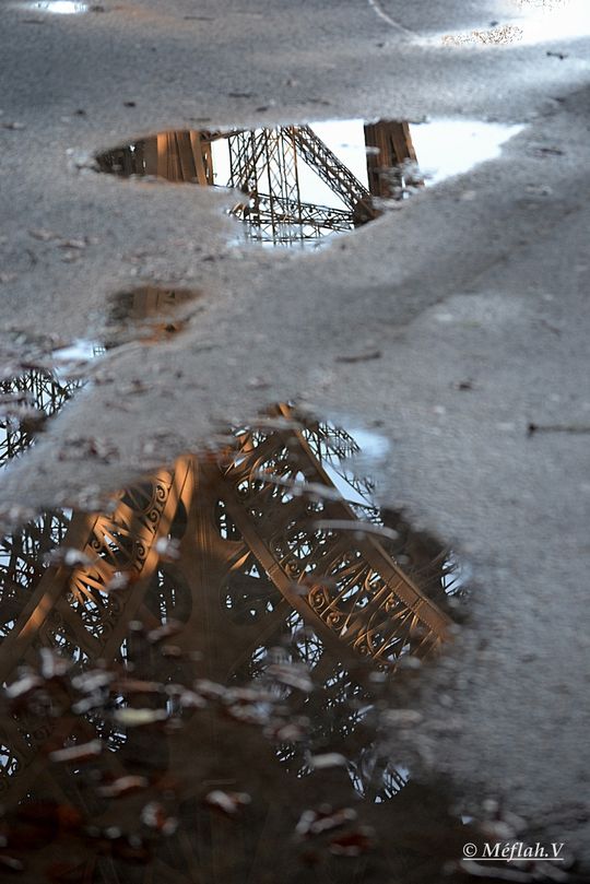 Tour Eiffel dans une flaque d'eau 3
