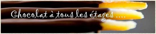 header_article_tmpphpg2LXUx.jpg