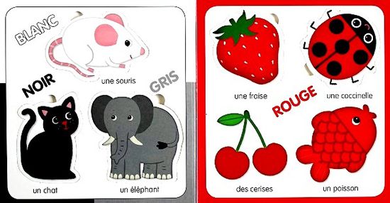 L-imagerie-puzzle-Les-dinosaures-Les-couleurs-6.JPG