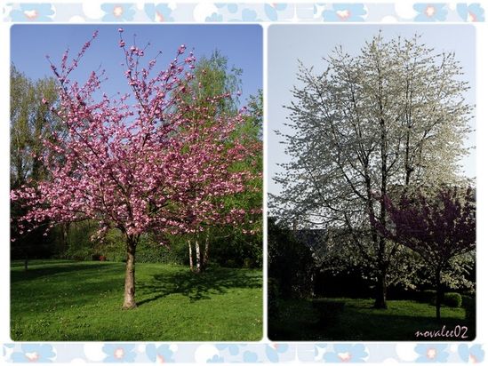 spring2011-1.jpg