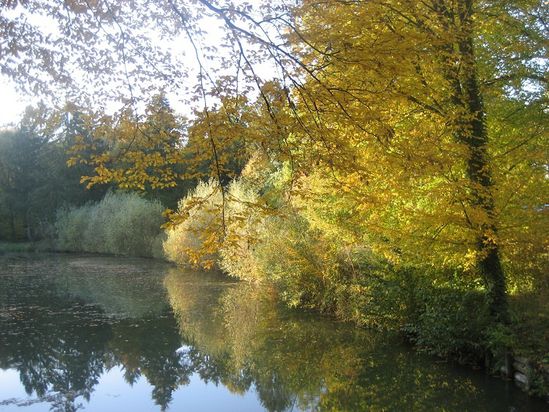 Automne(11)