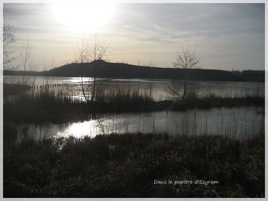 Rieulay-févr.2012(06)