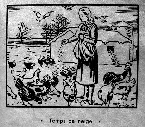 Ferme3