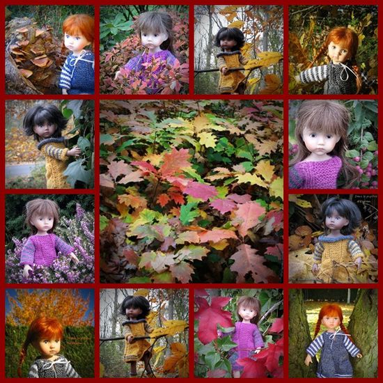 87 AutomneVarié.(04)