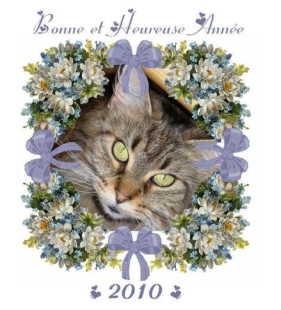 bonneannee2010_.jpg