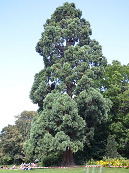 C18-5393.JPG
