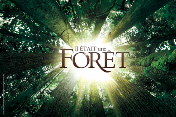 Il-etait-une-foret.png