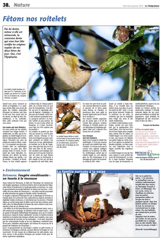 Parution magasine breton