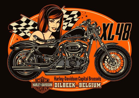 XL48 SPORTSTER