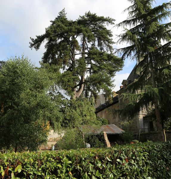 LA0A0243.JPG