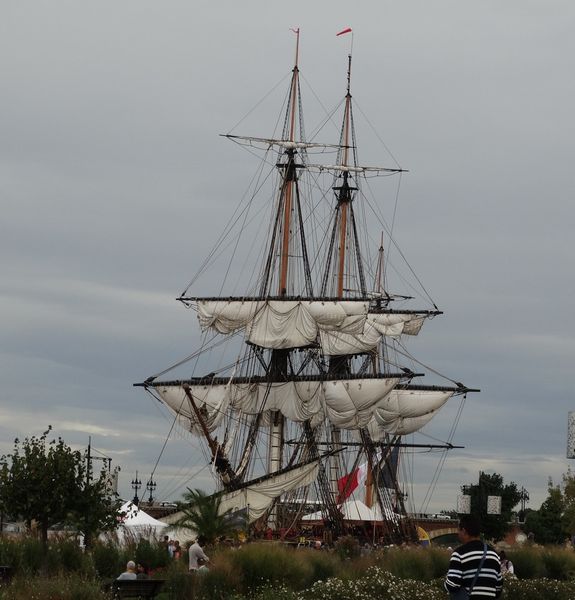 hermione36