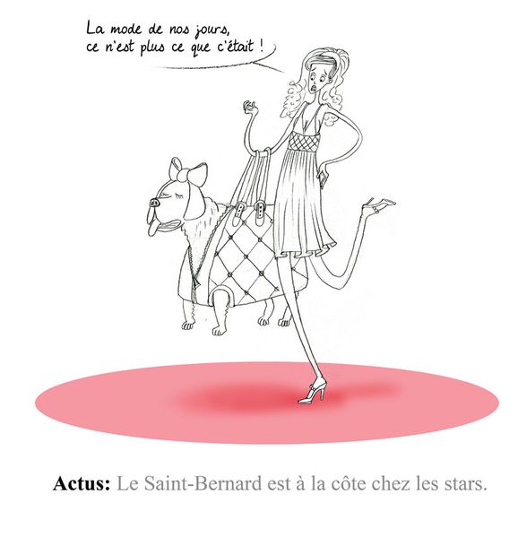 Saint-Bernard.jpg