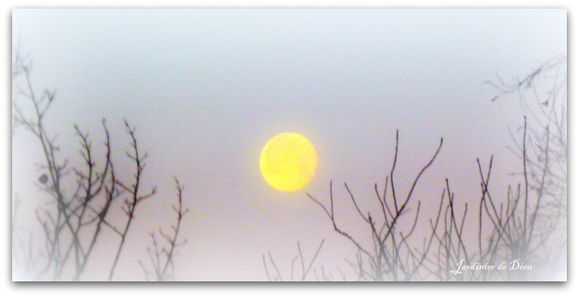 lune signée