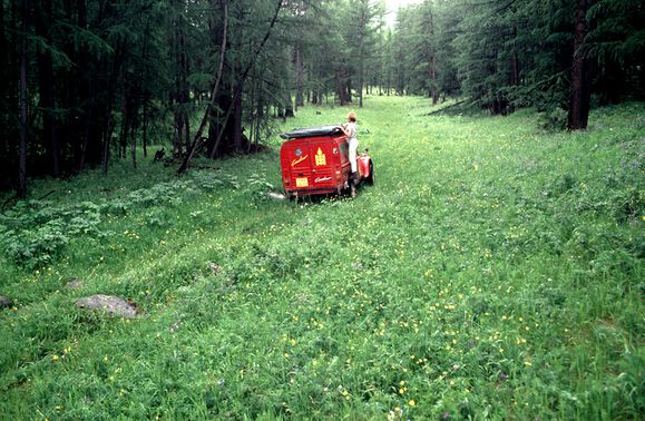 Chemin-fantome-dans-la-foret-Mongolie.jpg
