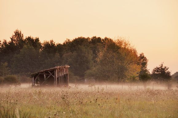 Ma petite cabane