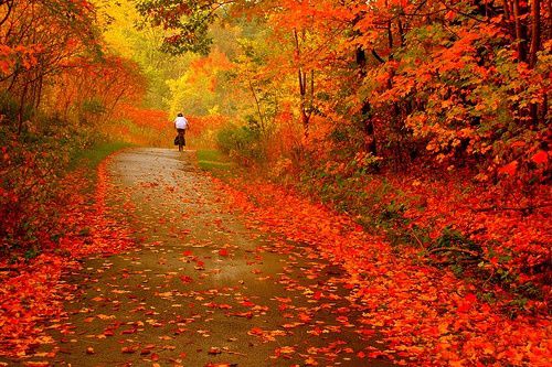 automne1.jpg