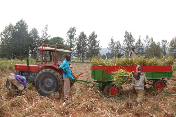 tracteur_pour_la_maison_shalom.jpg