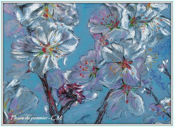 fleurs du pommiers