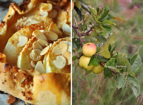 zoom_tarte_branche_pommes.jpg