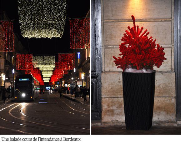 Balade cours intendance bordeaux