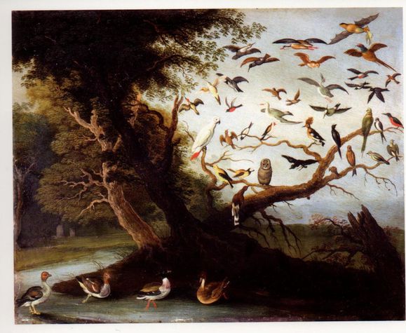 arbre-aux-oiseaux.jpg