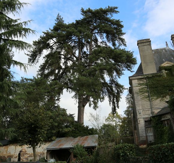 LA0A0258.JPG