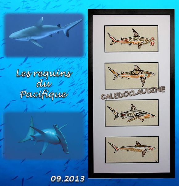 requins-sept13.jpg